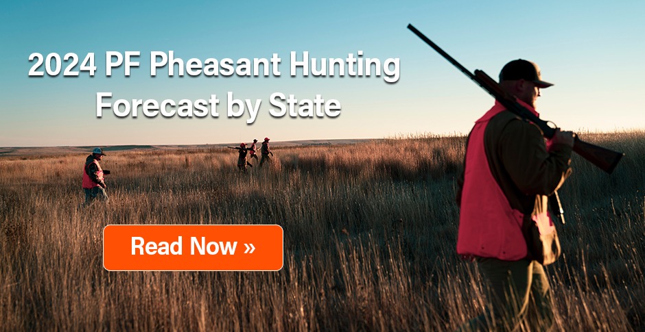 2024 PF Pheasant Hunting Forecast by State